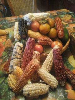 Villa Rural San Miguel de la Loma - 1