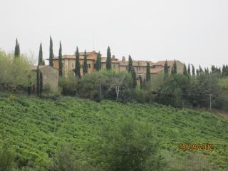 Tenuta Il Tresto - Poggibonsi - 6