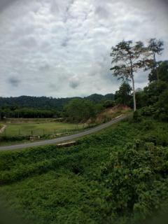 Hana Guesthouse - Kuala Tahan - 5