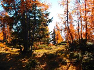 Thomahofhuette - Tauplitzalm - 1