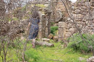 La Grulla Gris - Perales del Puerto - 1
