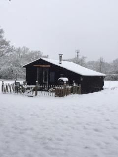 The Old Apple Shed cosy heated cottage in a meadow close to the charming village of Bethersden - Ashford - 0