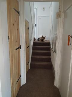 AA Apartment Westoe Road - South Shields - 8