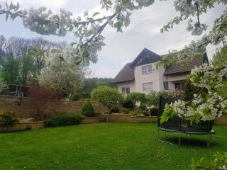 Vila na Skalce - Česká Kamenice - 4