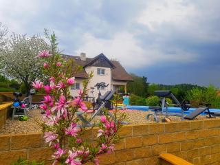 Vila na Skalce - Česká Kamenice - 3
