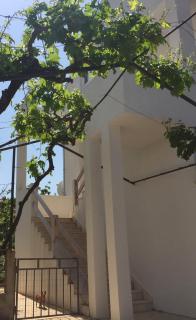 Apartments Milica - 1