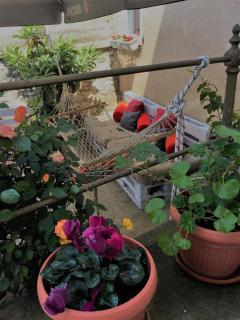 Hostel Musala - Mostar - 7