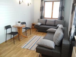 Apartament Górski Lux - Krynica Zdrój - 4