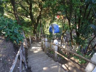 Bosques del Tibet - Cerro Verde - 1