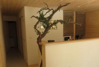 Le gite du grand cèdre - proche des gorges du Verdon - 9