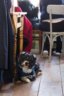 The Bull Hotel - Olney - 3