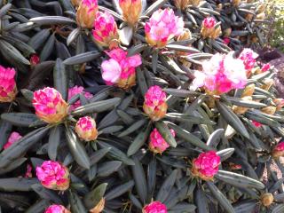 Arrive & Relax - Volkmar - Düsseldorf - 3