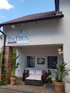 Gästehaus Bacchus - Wachenheim an der Weinstrasse - 0