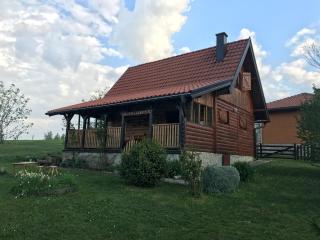 Holiday Home Brvnara - Bajina Bašta - 7