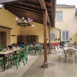 Los Canarios - 1