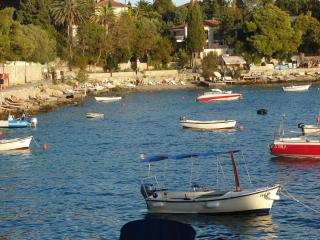 Apartmens Špiko 2 - Hvar - 1