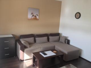 Markoni - Pančevo - 8