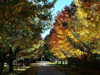 Abel Tasman Haven - 7
