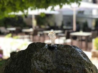 Landhotel Traube - Baden-Baden - 5