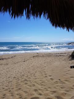 Luxury apartment with ocean view at the beach - Cabarete - 1