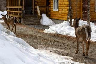 Lower Wilson Pond Refuge - 4