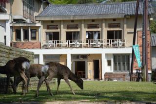 Mountain Home Lodge in Deer Park - Nara - 4