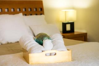 Suite 1-B El Rincón Garden House, Welcome To San Angel - 8