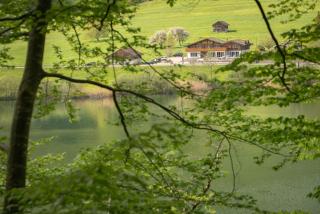 Hotel-Restaurant Burgseeli - 8