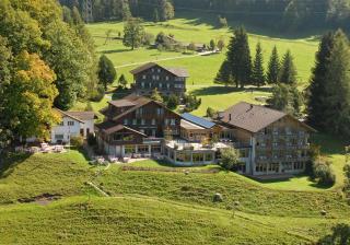 Hotel Meielisalp - Leissigen - 9