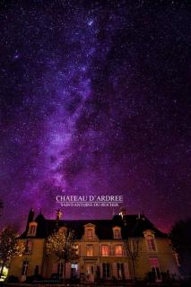 Château d'Ardrée - Saint-Antoine-du-Rocher - 2