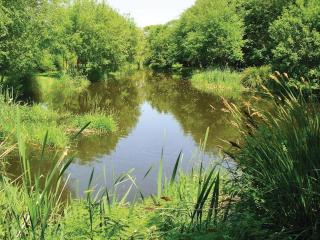 Meadow Lakes Holiday Park - St Austell - 5