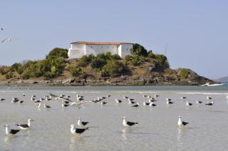 Canto da Arte - Hospedagem Domiciliar - Cabo Frío - 4