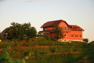 Hisa Vina - Podlehnik - 6