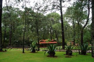 Rincón del Bosque - Mazamitla - 1