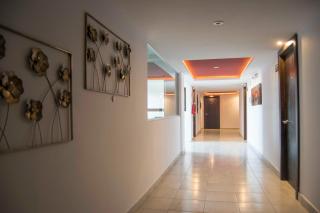 Hotel Onix Suites - Delicias - 8