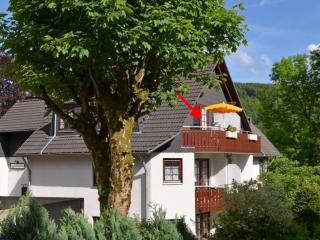 Bocksbergblick Fewo Auszeit - Goslar - 0