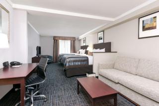 Wingate by Wyndham Athens GA - Athens - 9