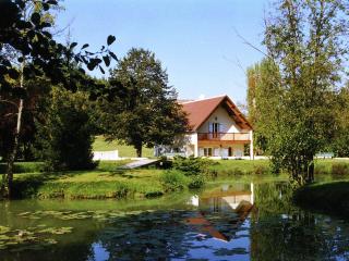 Charming holiday home with pool and pond - Faverolles - 5