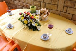 Studio Apartment Maslina - Gornji Karin - 2
