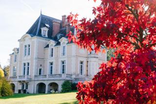 Château d'Ardrée - Saint-Antoine-du-Rocher - 7