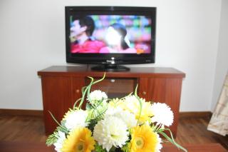 Homewood Luxury Apartment - 3