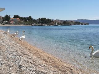 Apartman Ban - Brodarica - 7