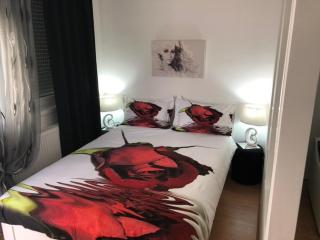 Apartman Jezdić - Banja Koviljača - 8