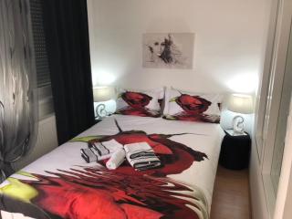 Apartman Jezdić - Banja Koviljača - 6