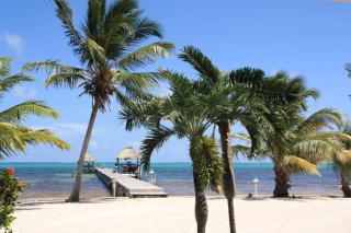 Caribe Island 1 Bedroom #20 - San Pedro - 8