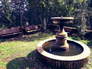 Bed and Breakfast Monticelli - Capranica - 3