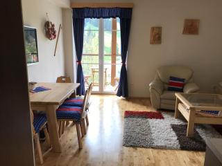 Apartman Razula - Velké Karlovice - 5