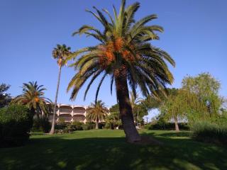 bel Appartement les pieds dans l'eau - Villeneuve-Loubet - 9