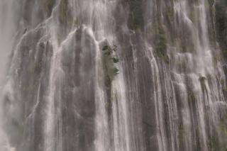 Templenoe Paradise - Te Anau - 5