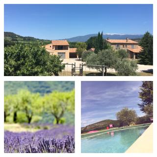 Entre Vignes et Collines - 2